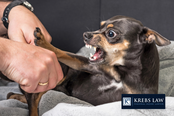 Alabama Dog Bite Laws: What You Should Know